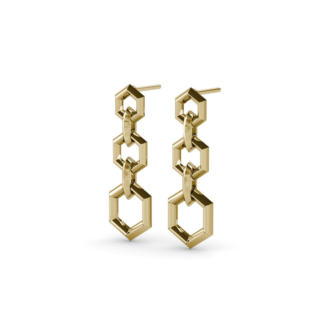 Lynq Hexagonal Drop Earrings