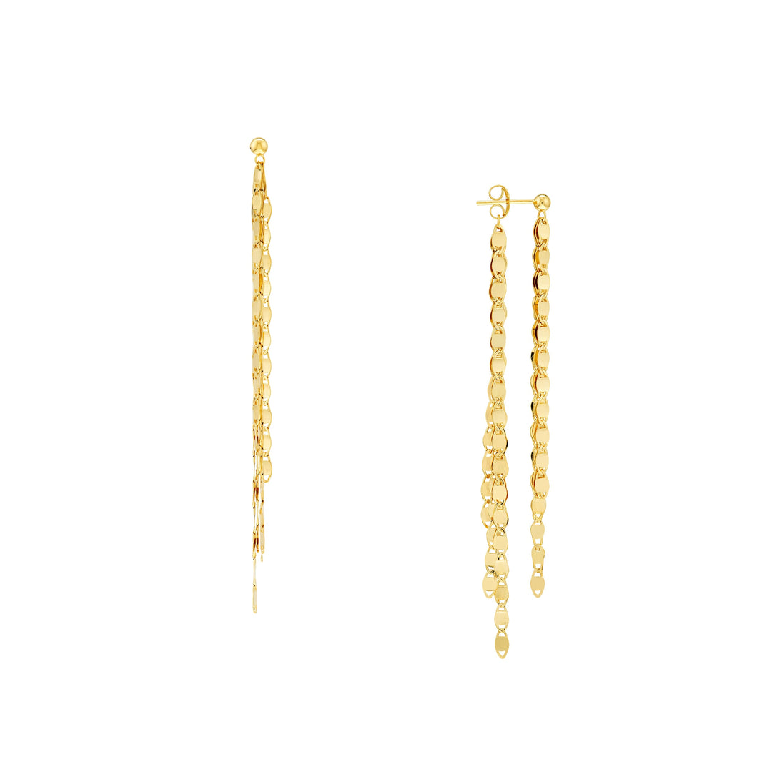Front and Back Valentino Chain Earrings