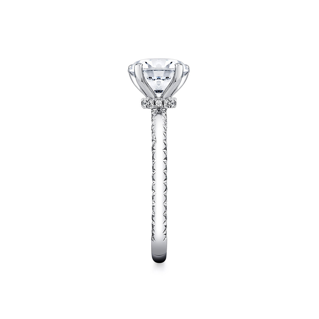 Round Cut Solitaire Engagement Ring with Diamond Profile and Hidden Halo Collar - Ciela