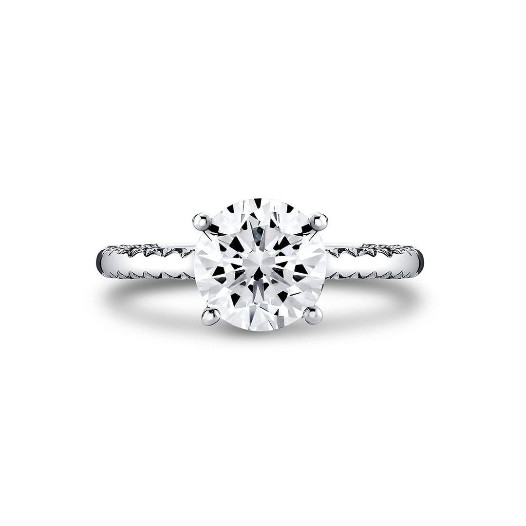 Round Cut Solitaire Engagement Ring with Diamond Profile and Hidden Halo Collar - Ciela