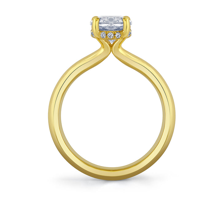 Oval Cut Solitaire Hidden Halo Engagement Ring - Briar